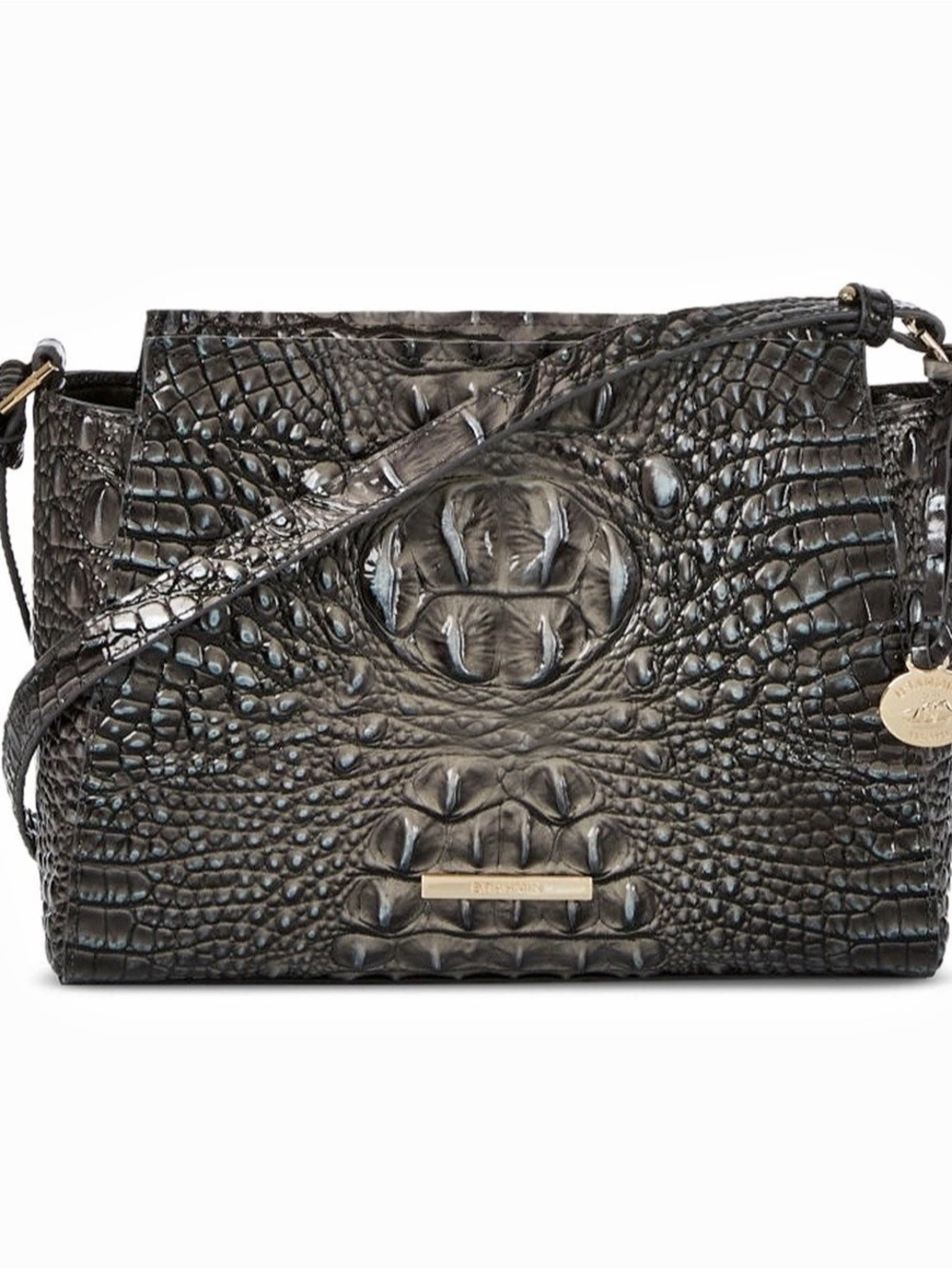 Brahmin Hilary in Nocturnal Melbourne